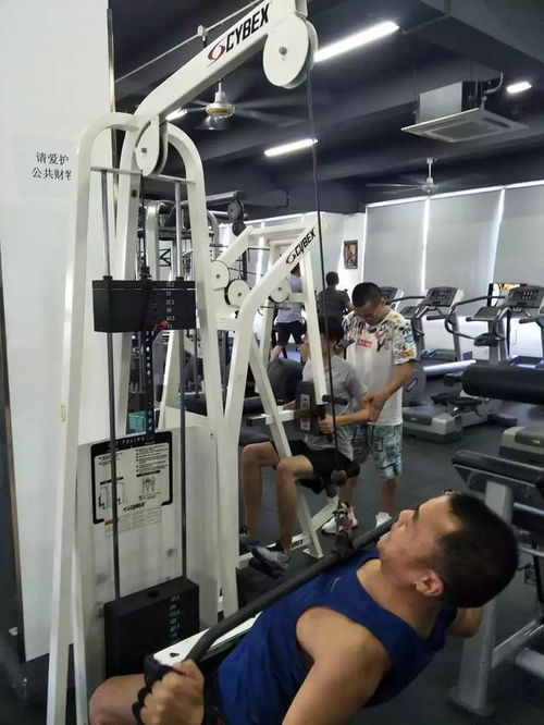 人民網(wǎng)測評 健身護(hù)具好幫手，ohmy fit健身護(hù)具全面評測報告